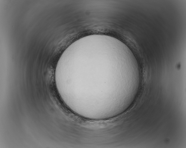 X0000116030029200912111426