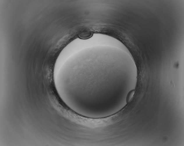 X0000116030031200912111426