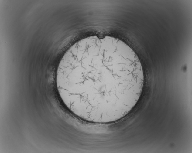X0000116030032200912111426