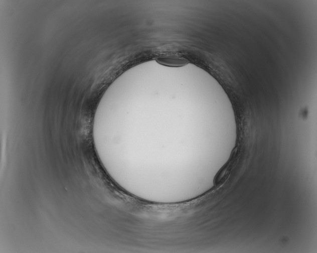 X0000116030033200912111426