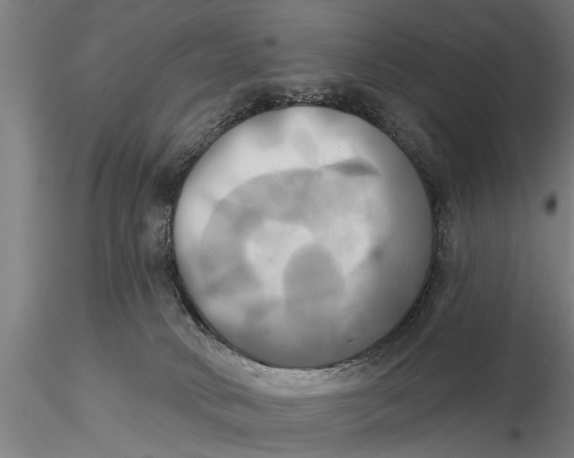 X0000116030034200912111426