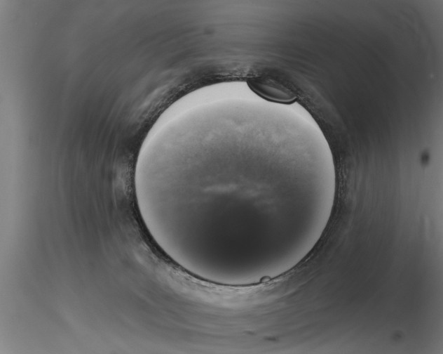 X0000116030035200912111426