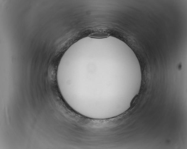 X0000116030037200912111426