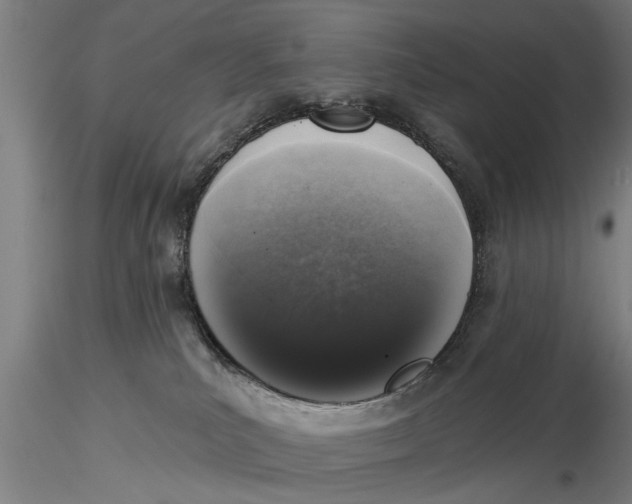 X0000116030039200912111426