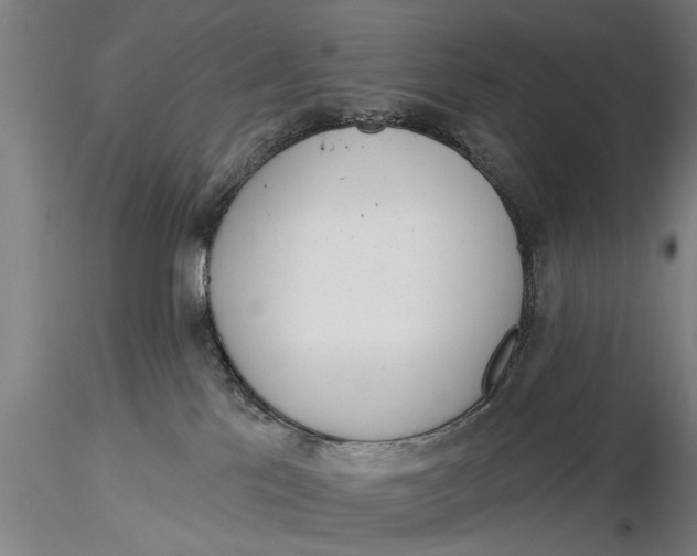 X0000116030041200912111426