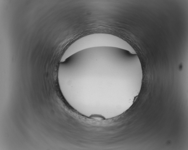 X0000116030043200912111426
