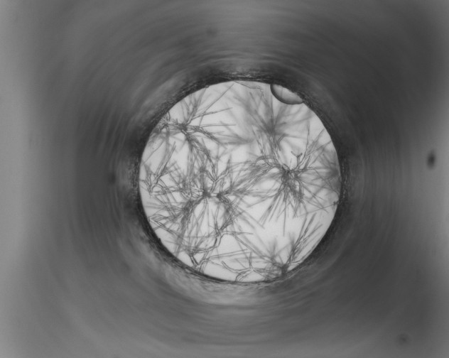 X0000116030044200912111426