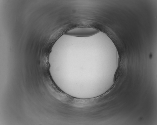 X0000116030045200912111426