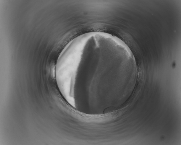 X0000116030046200912111426