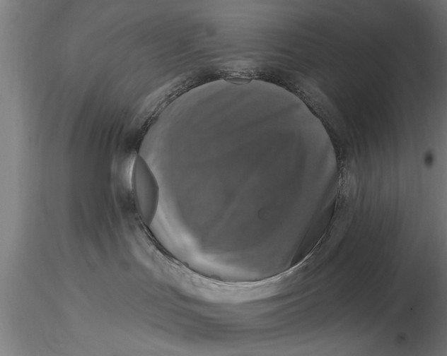 X0000116030047200912111426