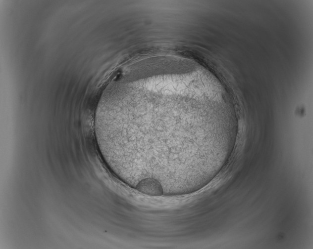 X0000116030048200912111426