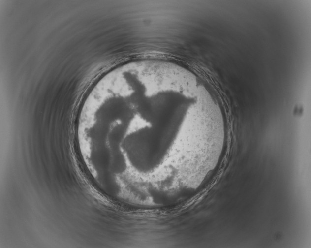 X0000116030049200912111425