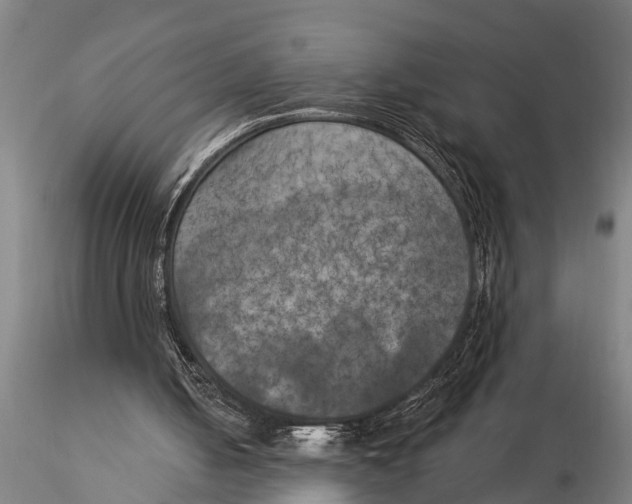 X0000116030050200912111425