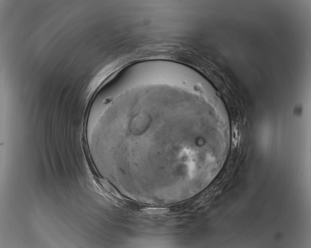 X0000116030051200912111425