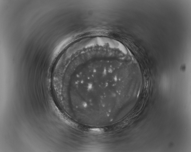 X0000116030053200912111425