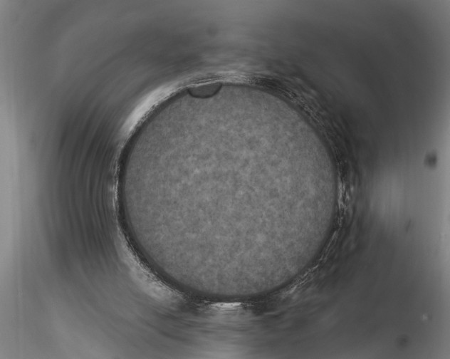 X0000116030054200912111425