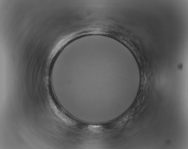 X0000116030055200912111425