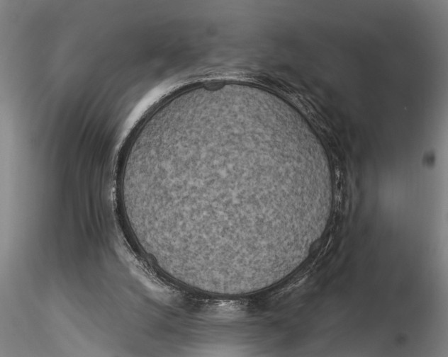 X0000116030056200912111425