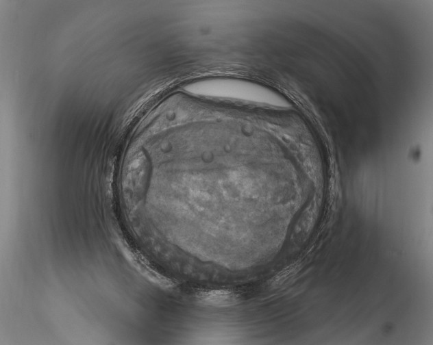 X0000116030058200912111425