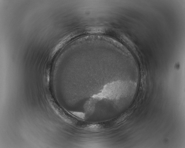 X0000116030059200912111425