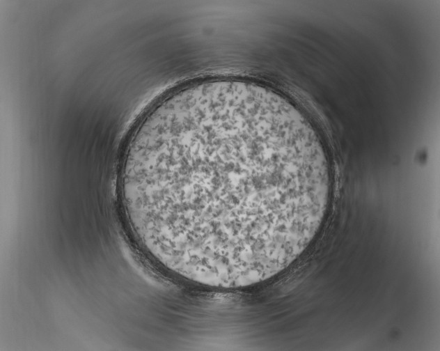 X0000116030060200912111425