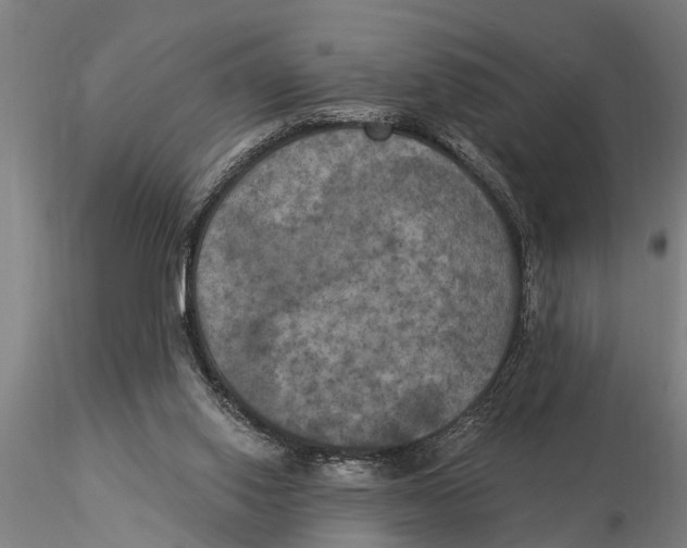 X0000116030062200912111425