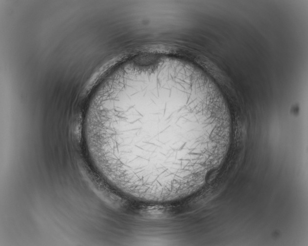 X0000116030064200912111425