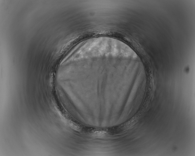 X0000116030066200912111425