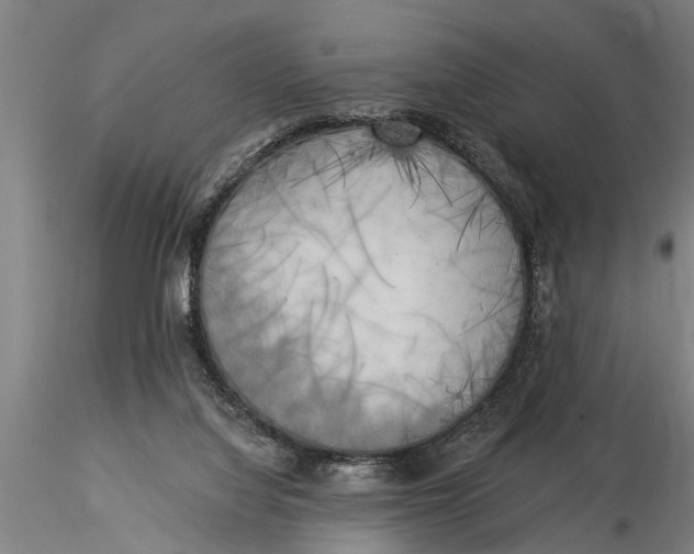 X0000116030068200912111425