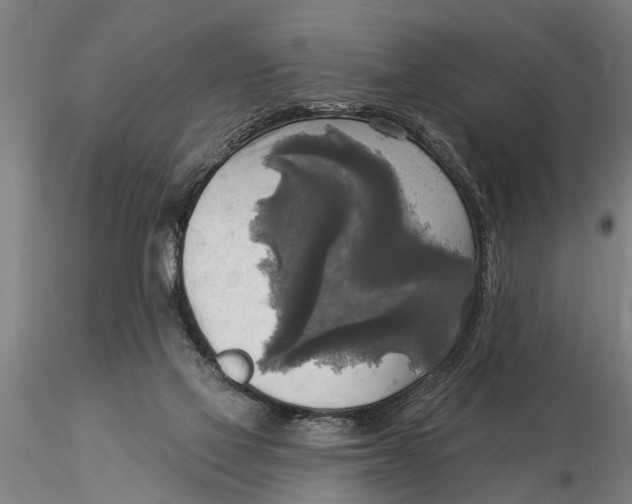 X0000116030069200912111425