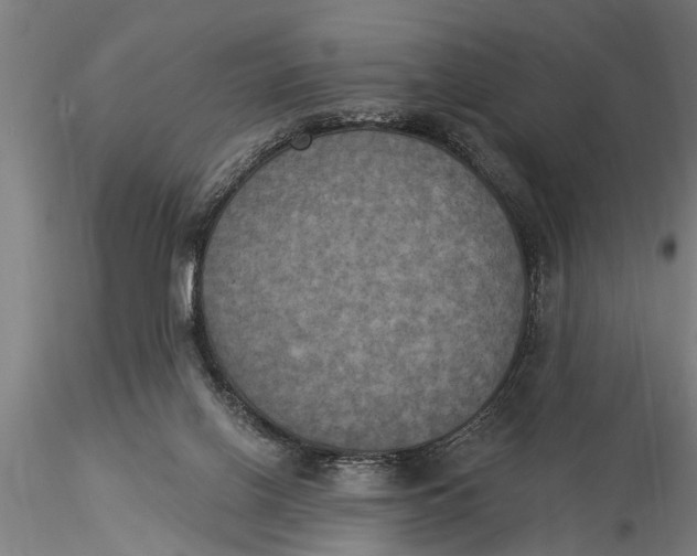 X0000116030070200912111426