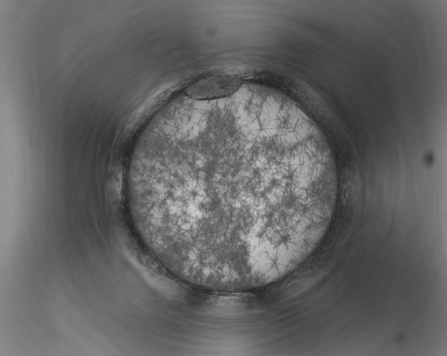 X0000116030072200912111426