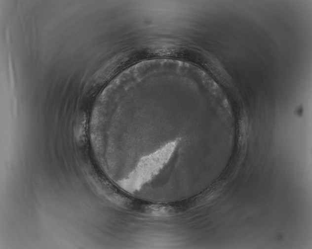X0000116030073200912111426