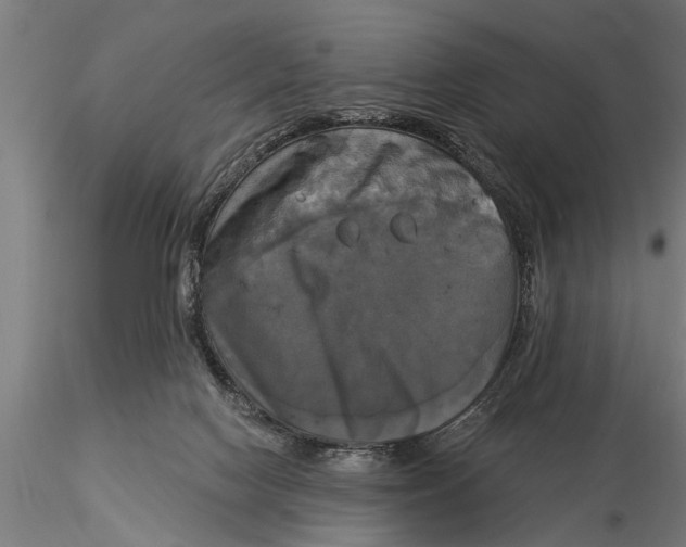 X0000116030074200912111426