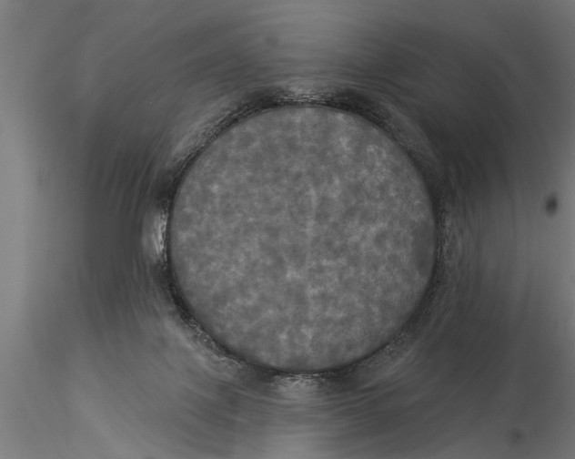 X0000116030075200912111426