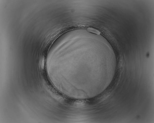 X0000116030076200912111426