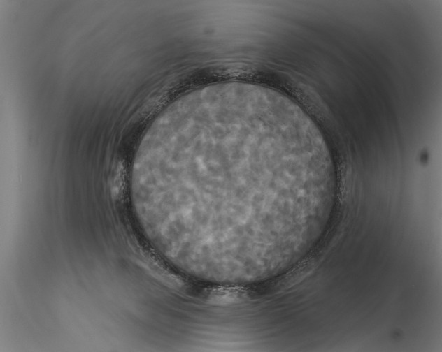 X0000116030077200912111426