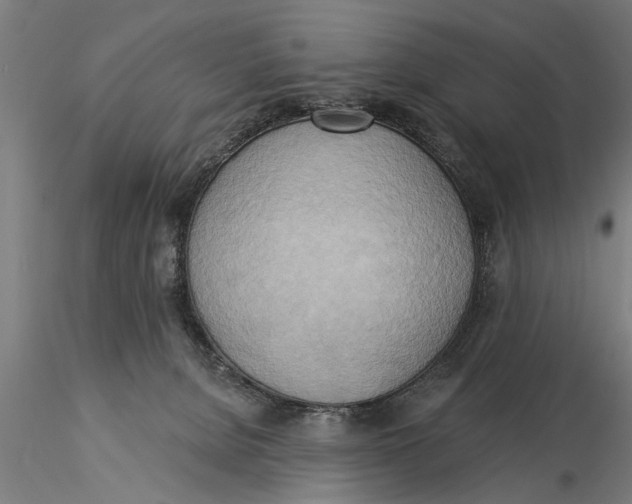 X0000116030080200912111426
