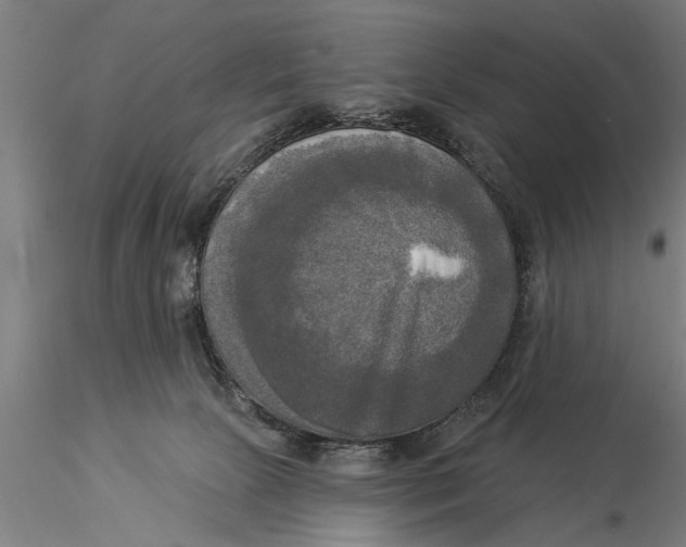 X0000116030081200912111426