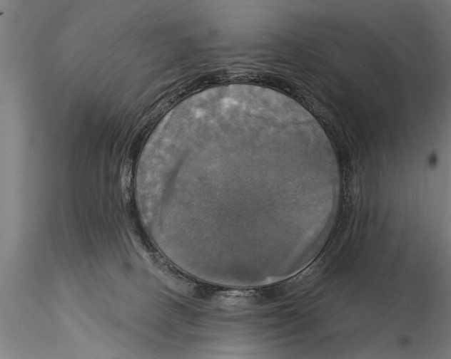 X0000116030082200912111426