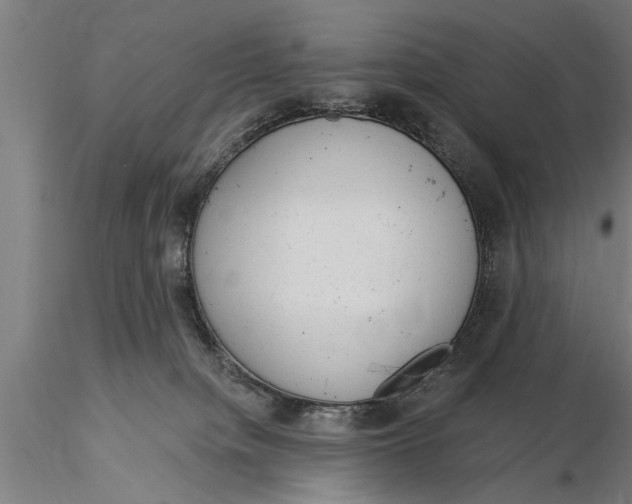 X0000116030084200912111426
