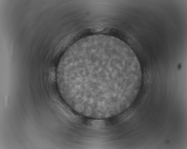 X0000116030085200912111426