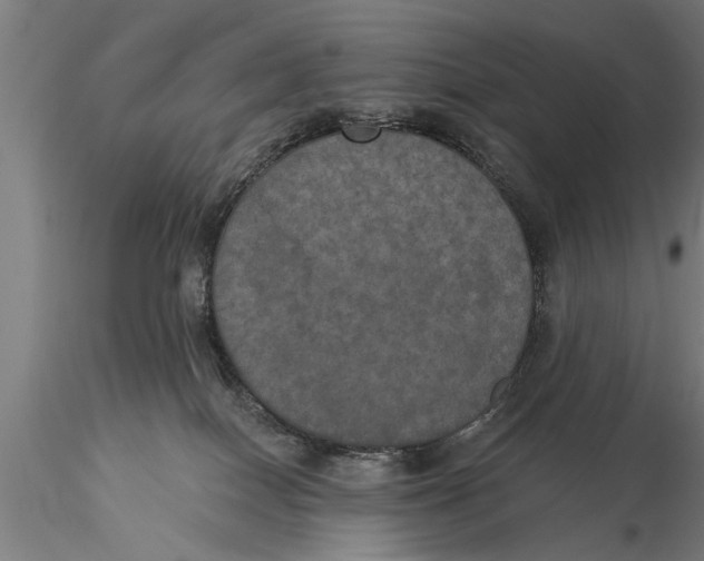 X0000116030086200912111426