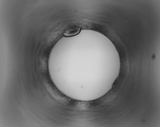 X0000116030088200912111426