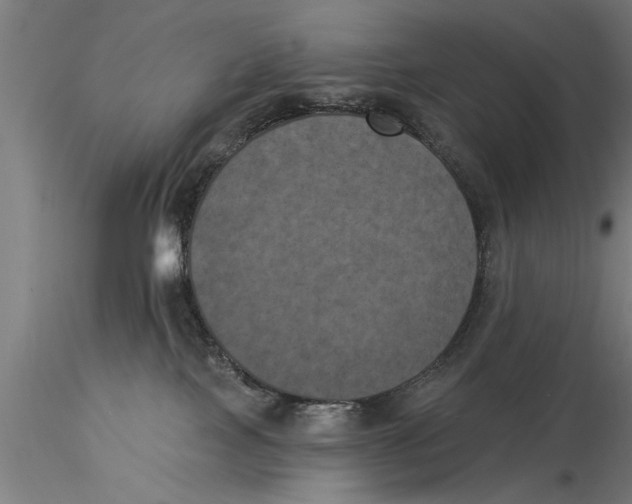 X0000116030089200912111426