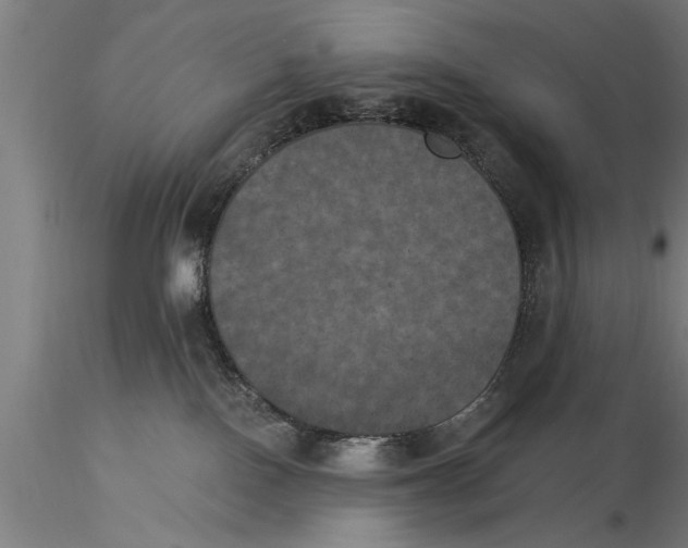 X0000116030090200912111426
