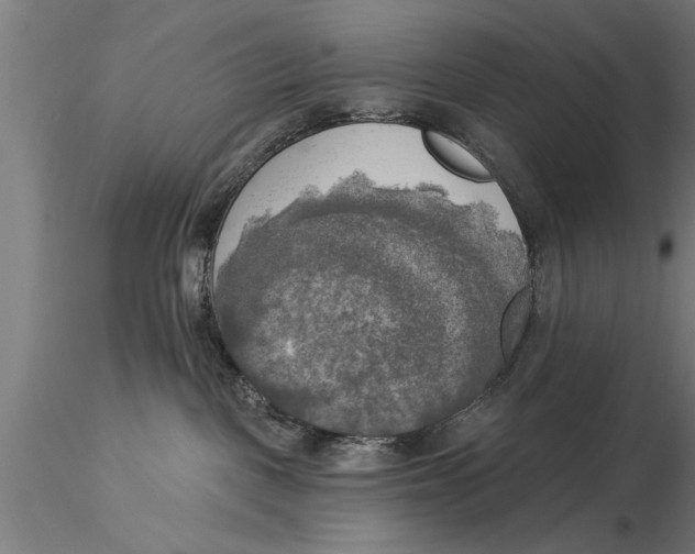 X0000116030093200912111426