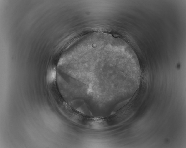 X0000116030095200912111426