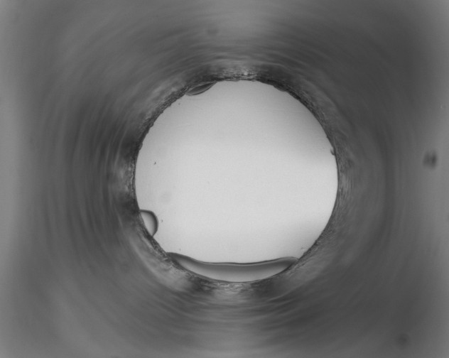 X0000116030096200912111426