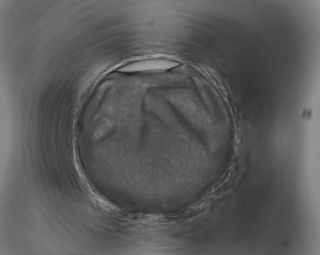 X0000116030097200912111425